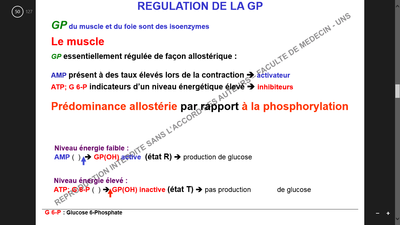 Régulation GP 1.png