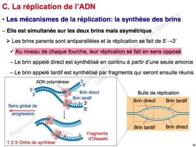 Capture d’écran 2015-09-06 à 20.10.37.png