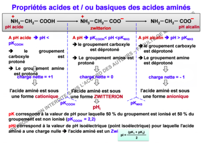 Capture d’écran 2015-09-06 à 22.08.54.png