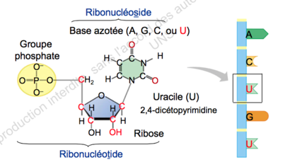 Capture d’écran 2015-09-07 à 22.43.17.png