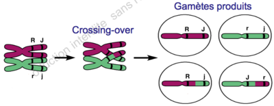 Capture d’écran 2015-09-08 à 16.36.491.png