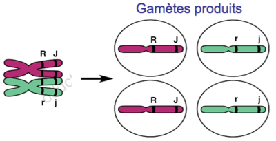 Capture d’écran 2015-09-08 à 16.48.39.png