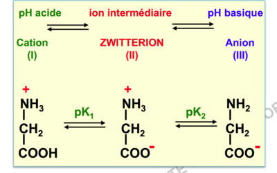 Capture d’écran 2015-09-08 à 17.21.23.png