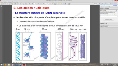 Capture d’écran (38).png