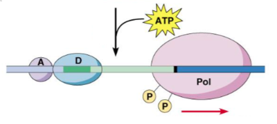 Capture d’écran 2015-09-09 à 21.20.29.png