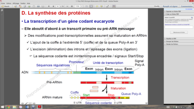 Capture d’écran (39).png