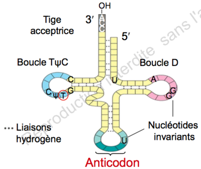 Capture d’écran 2015-09-10 à 14.38.54.png