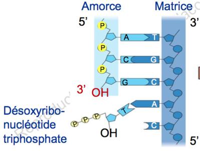 Capture d’écran 2015-09-10 à 14.50.28.png