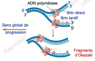 Capture d’écran 2015-09-10 à 14.13.07.png