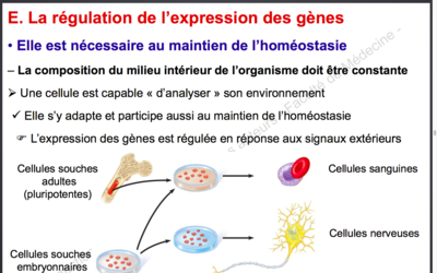 Capture d’écran 2015-09-11 à 21.22.20.png