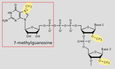 Capture d’écran 2015-09-11 à 22.50.55.png