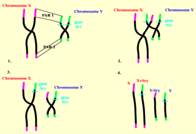 Capture d’écran 2015-09-11 à 23.14.46.png