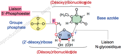 Capture d’écran 2015-09-12 à 20.04.34.png