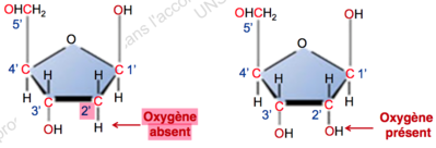 Capture d’écran 2015-09-12 à 20.03.01.png