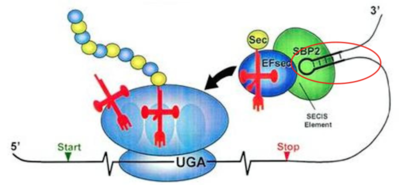 Capture d’écran 2015-09-12 à 21.56.21.png
