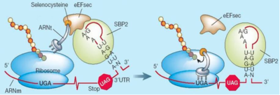 Capture d’écran 2015-09-12 à 21.53.24.png
