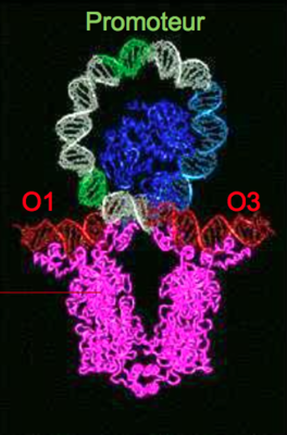 Capture d’écran 2015-09-13 à 00.30.31.png