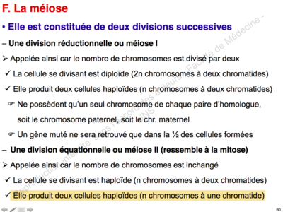 Capture d’écran 2015-09-13 à 08.46.48.png
