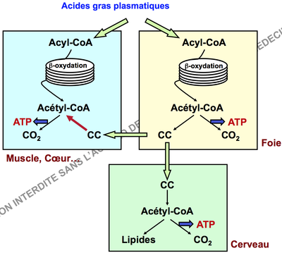 Capture d’écran 2015-09-13 à 14.51.40.png