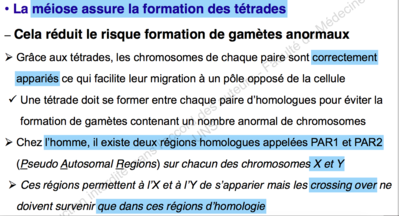 Capture d’écran 2015-09-13 à 17.06.30.png