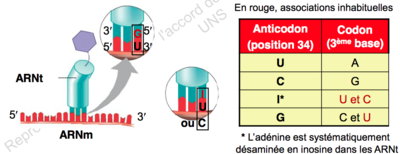 Capture d’écran 2015-09-13 à 20.35.18.png