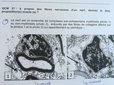 image.jpg (2.3 Mio) Vu 247 fois image.jpg