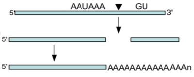 Capture d’écran 2015-09-11 à 02.02.40.png