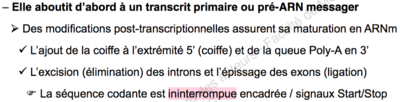 Capture d’écran 2015-09-14 à 19.25.34.png