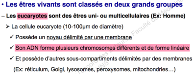 Capture d’écran 2015-09-15 à 14.22.22.png