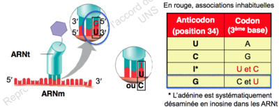 Capture d’écran 2015-09-13 à 20.35.18.png