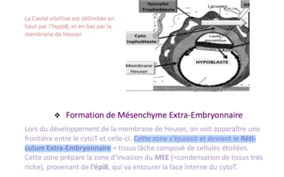 Capture d’écran 2015-09-16 à 10.57.22.png