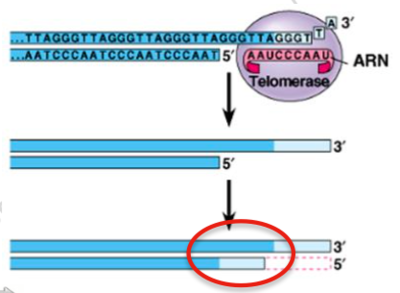 Capture d’écran 2015-09-19 à 16.10.01.png