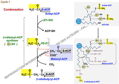 Capture d’écran 2015-09-19 à 23.28.56.png
