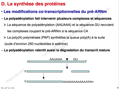 Capture d’écran 2015-09-20 à 16.10.39.png