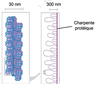 Capture d’écran 2015-09-20 à 16.33.10.png