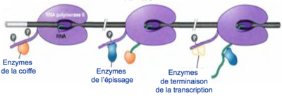 Capture d’écran 2015-09-20 à 16.54.33.png