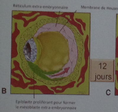 Capture d’écran 2015-09-21 à 10.47.03.png