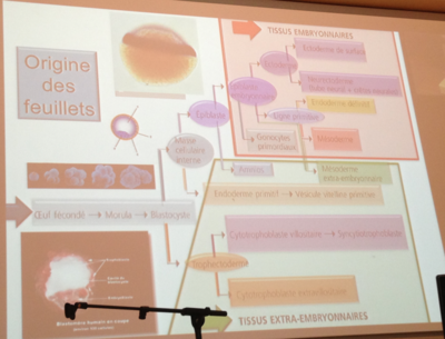 Capture d’écran 2015-09-21 à 15.06.07.png