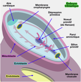 Capture d’écran 2015-09-21 à 23.05.49.png