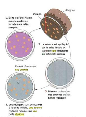 Capture d’écran 2015-09-23 à 18.06.55.png