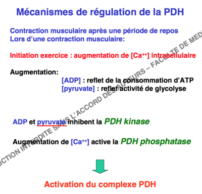 Capture d’écran 2015-09-24 à 17.09.33.png