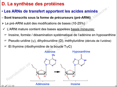 daipo17 mineures.png