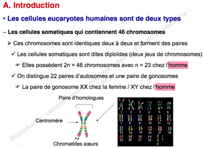 Capture d’écran 2015-09-27 à 19.39.00.png