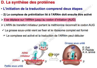Capture d’écran 2015-09-28 à 21.08.27.png