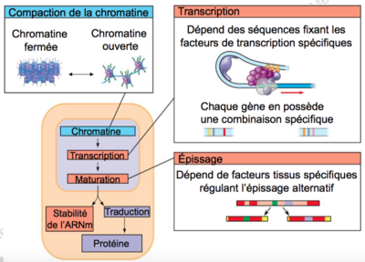 Capture d’écran 2015-09-28 à 22.35.40.png