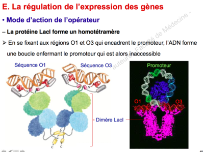 Capture d’écran 2015-09-30 à 00.06.46.png