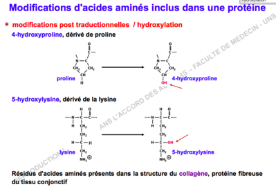 Capture d’écran 2015-09-30 à 19.22.04.png