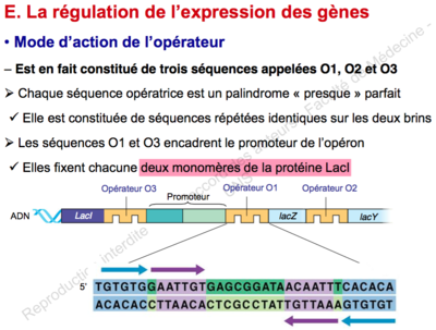 Capture d’écran 2015-09-30 à 19.34.43.png