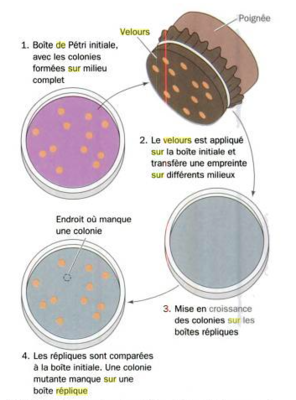 Capture d’écran 2015-09-30 à 19.51.30.png