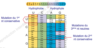 Capture d’écran 2015-09-30 à 20.07.06.png